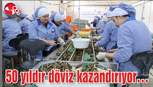 50 yıldır döviz kazandırıyor...