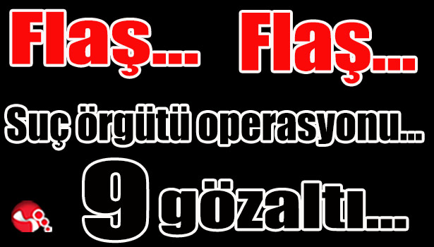 Suç örgütü operasyonu... 9 gözaltı...