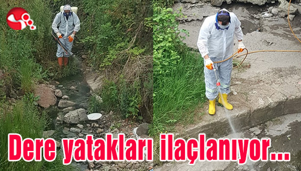 Dere yatakları ilaçlanıyor...