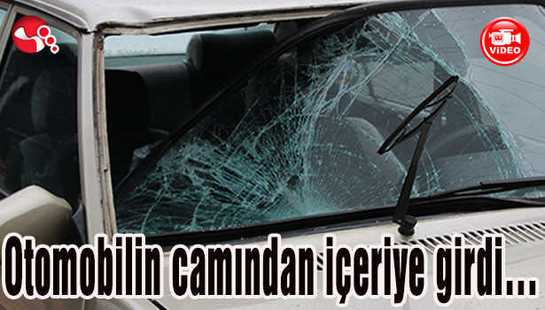 Otomobilin camından içeriye girdi...