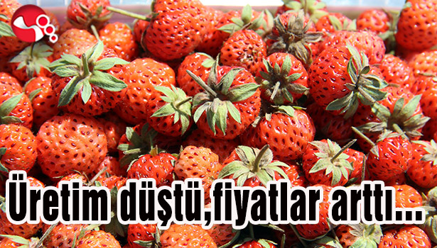 Üretim düştü, fiyatlar arttı...