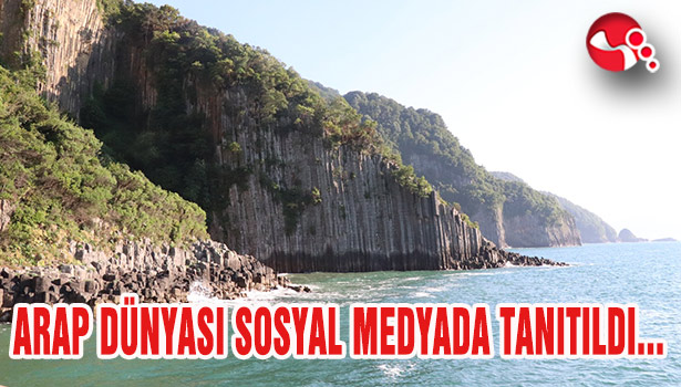 ARAP DÜNYASI SOSYAL MEDYASINDA BARTIN TANITILDI