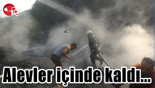Alevler içinde kaldı...