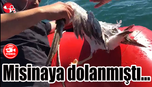 Misinaya dolanmıştı...