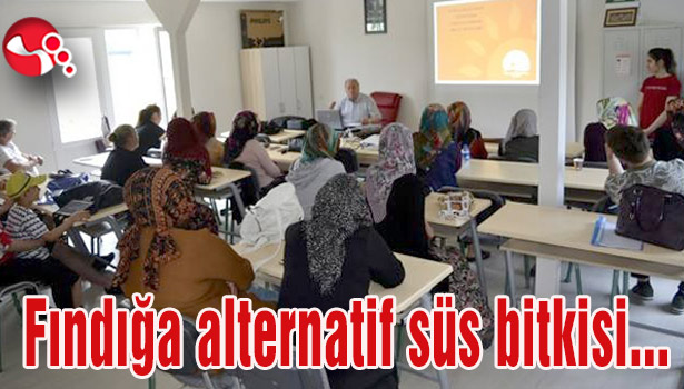Fındığa alternatif süs bitkisi...