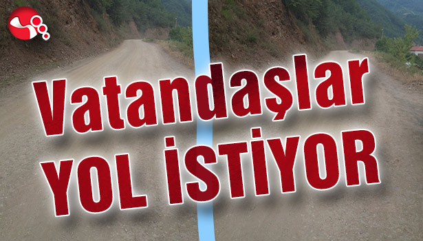 Vatandaşlar yol istiyor