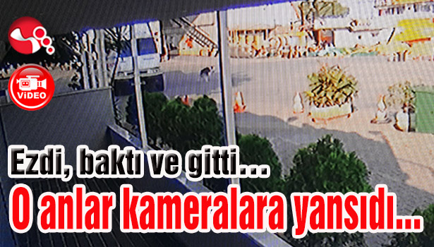 Ezdi, baktı ve gitti... O anlar kameralara yansıdı...