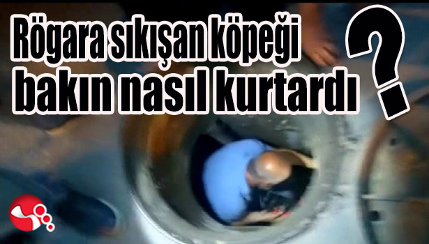 Rögara sıkışan köpeği bakın nasıl kurtardı?