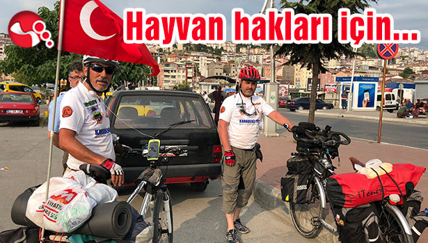 Hayvan hakları için...