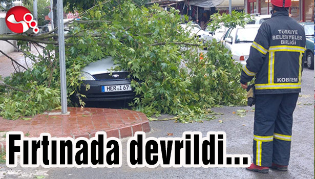 Fırtınada devrildi...