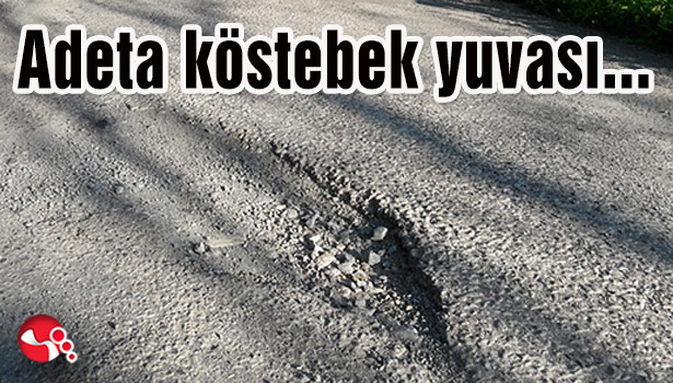 Adeta köstebek yuvası...