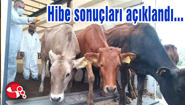 Hibe sonuçları açıklandı...