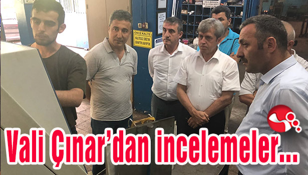 Vali Çınar incelemelerde bulundu