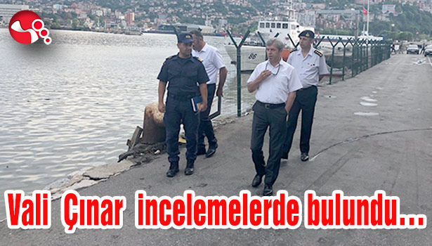 Vali Çınar incelemelerde bulundu...