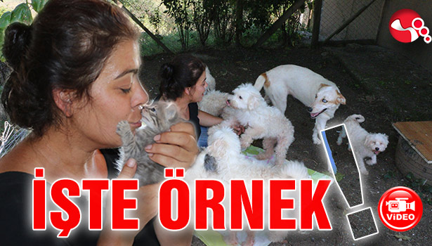 İŞTE ÖRNEK!