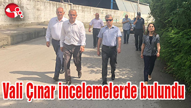 Vali Çınar incelemelerde bulundu