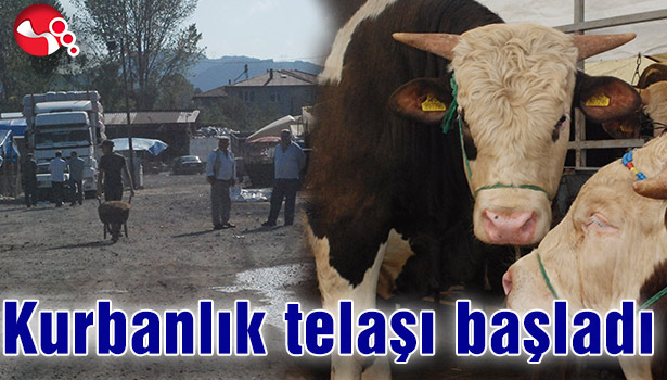 Hayvan pazarında kurban hareketliliği