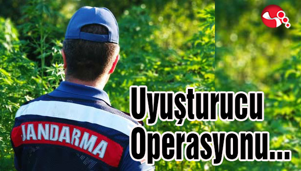 Uyuşturucu Operasyonu...