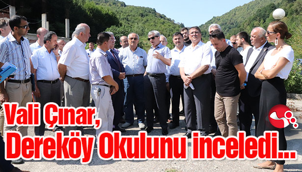 Vali Çınar, Dereköy Okulunu inceledi...