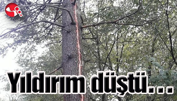 Yıldırım düştü...