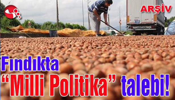 Fındıkta "Milli Politika" talebi!