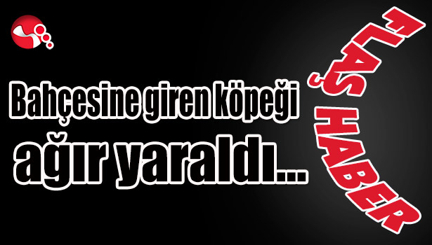 Bahçesine giren köpeği ağır yaraladı...