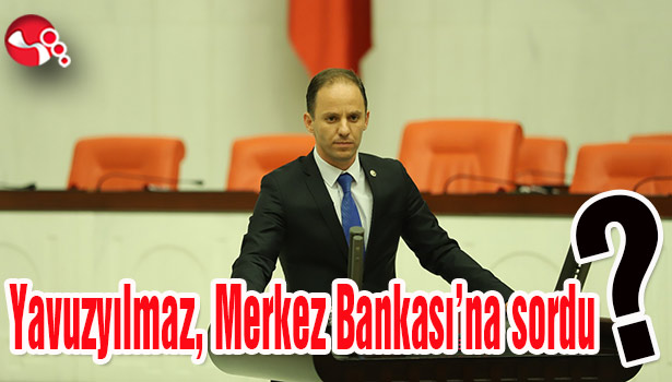 Yavuzyılmaz, Merkez Bankası'na sordu?
