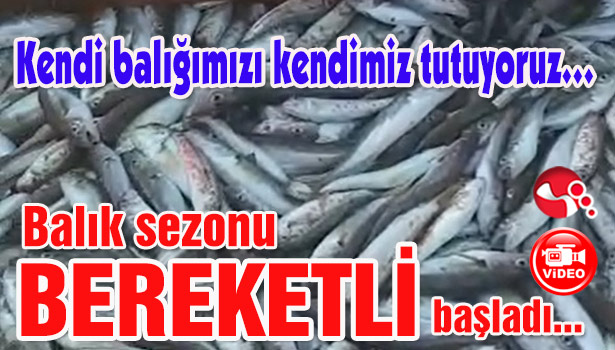 Balık sezonu BEREKETLİ başladı...