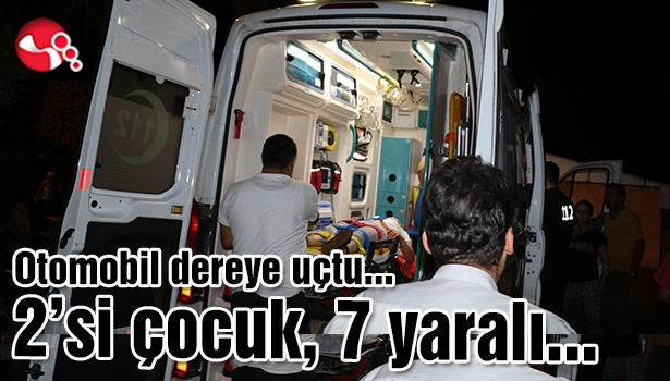 Otomobil dereye uçtu...