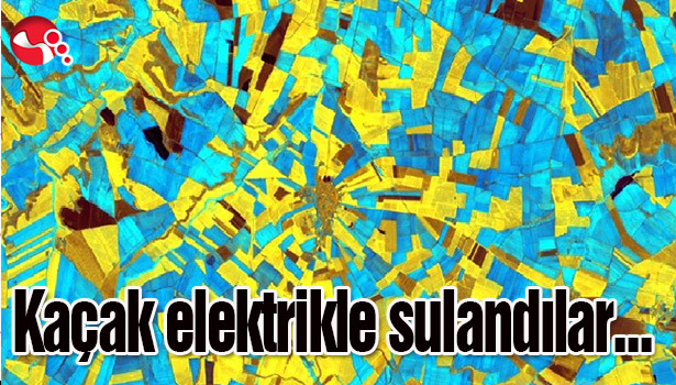 Kaçak elektrikle sulandılar...