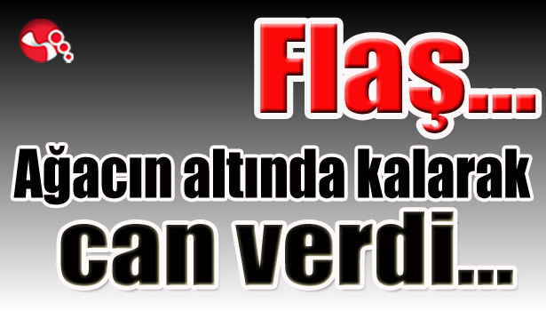 Ağacın altında kalarak can verdi...