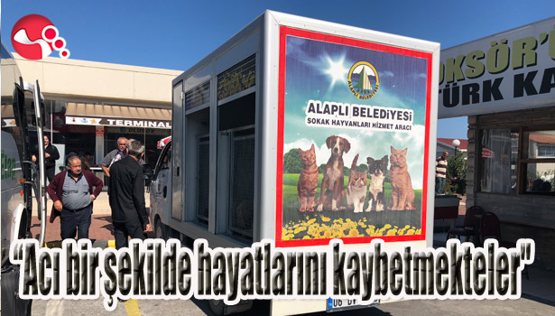 "Acı bir şekilde hayatlarını kaybetmekteler"