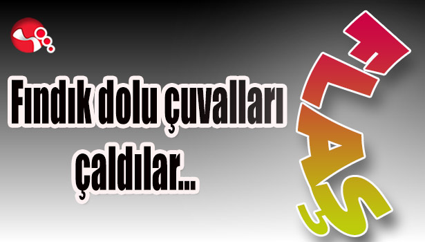 Fındık dolu çuvalları çaldılar...