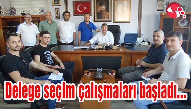 Delege seçim çalışmaları başladı...