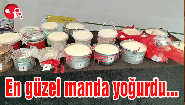 En güzel manda yoğurdu...