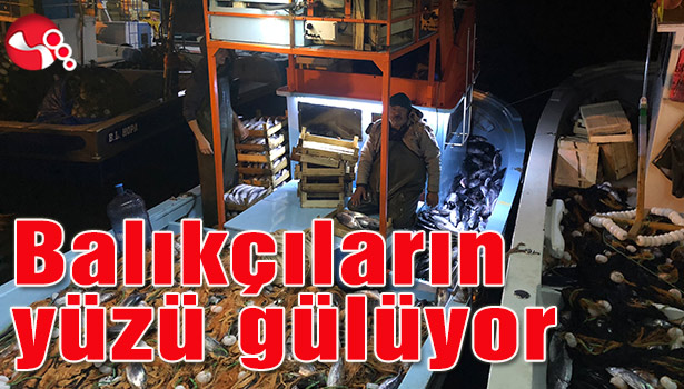 Balıkçıların yüzü gülüyor
