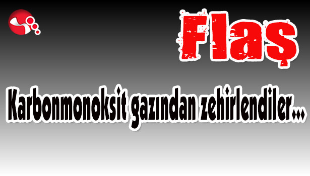 Karbonmonoksit gazından zehirlendiler...