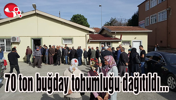 70 ton buğday tohumluğu dağıtıldı...