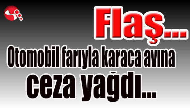 Otomobil farıyla karaca avına ceza yağdı...