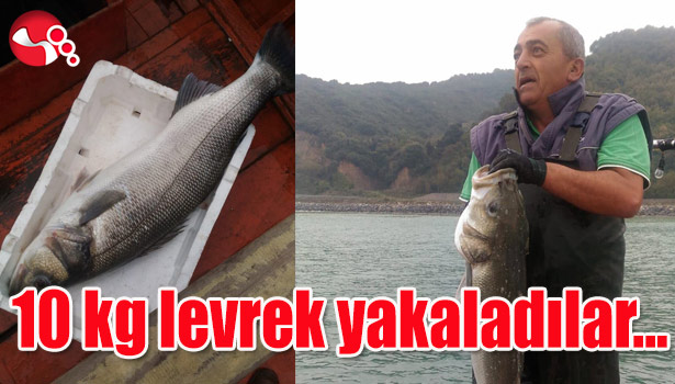 10 kg levrek yakaladılar...