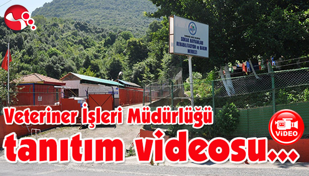 Veteriner İşleri Müdürlüğü tanıtım videosu yayınlandı...