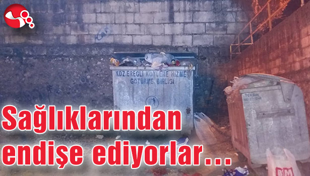 Sağlıklarından endişe ediyorlar...