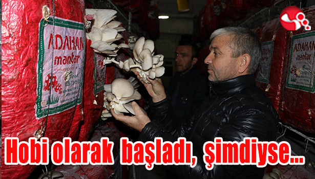 Hobi olarak başladı, şimdiyse...