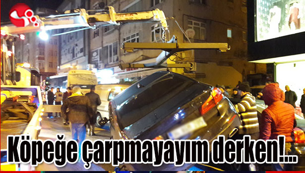 Köpeğe çarpmayayım derken!...