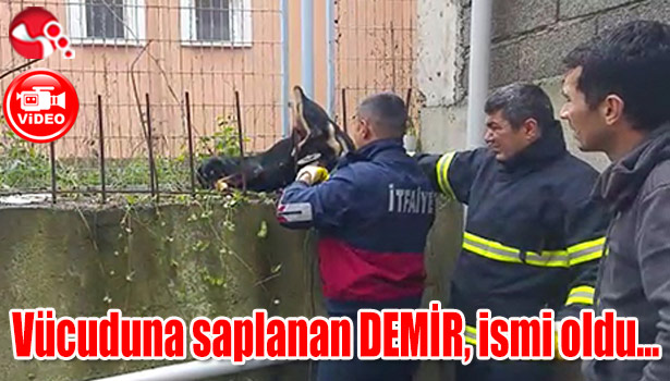 Vücuduna saplanan DEMİR, ismi oldu...