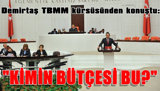 "KİMİN BÜTÇESİ BU?"