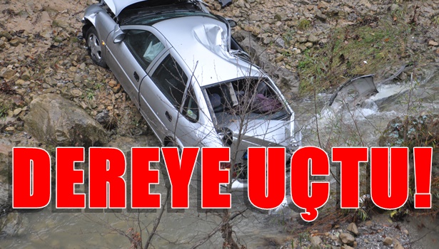 Otomobil, dereye uçtu: 1 yaralı