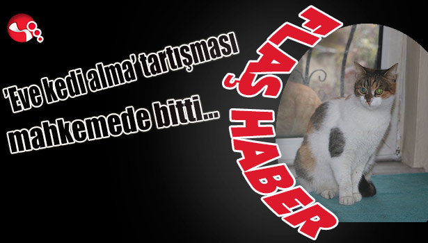 "Eve kedi alma" tartışması mahkemede bitti...