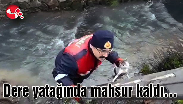 Dere yatağında mahsur kaldı...