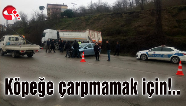 Köpeğe çarpmamak için!..